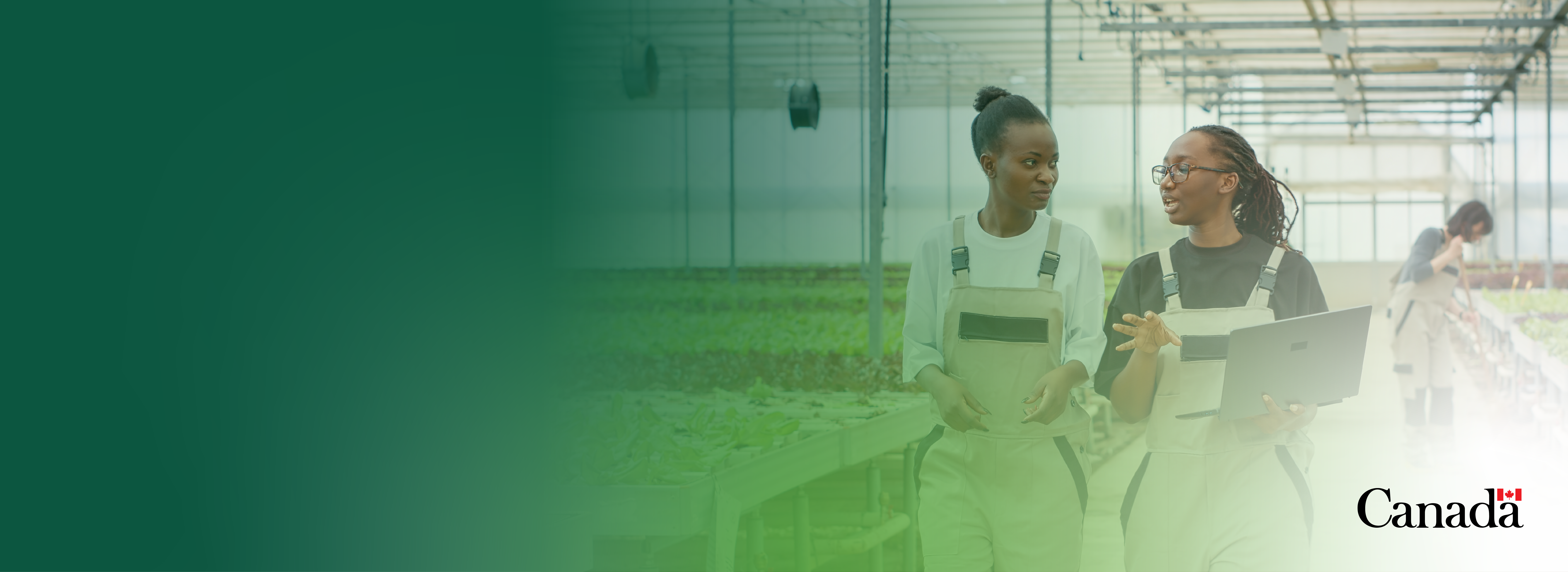 Banner_Employment Programs